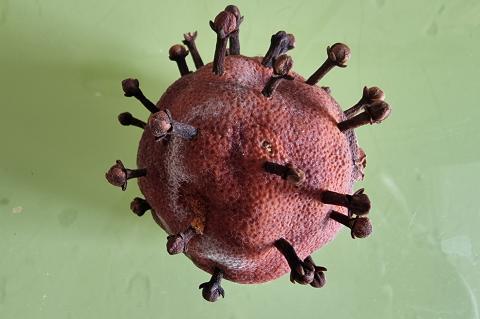 Coronaviruset Foto; Herman J Berge 2021